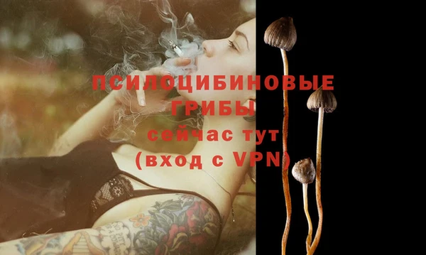 2c-b Бронницы
