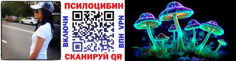 Псилоцибиновые грибы Psilocybe дарнет шоп гидра ТОР Моздок